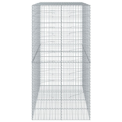 vidaXL Gabione mit Deckel 200x100x200 cm Verzinktes Eisen