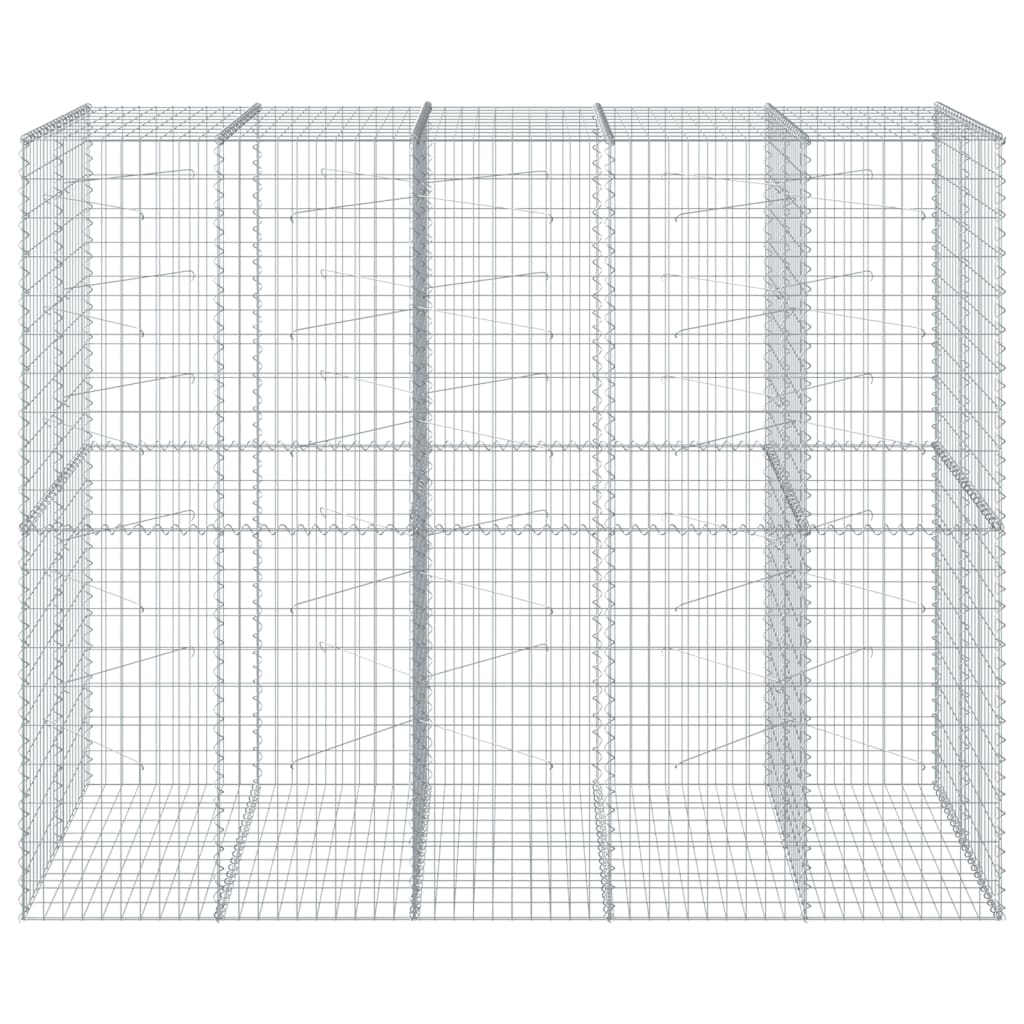vidaXL Gabione mit Deckel 250x100x200 cm Verzinktes Eisen