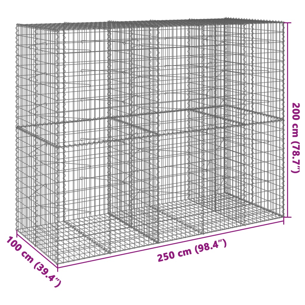 vidaXL Gabione mit Deckel 250x100x200 cm Verzinktes Eisen
