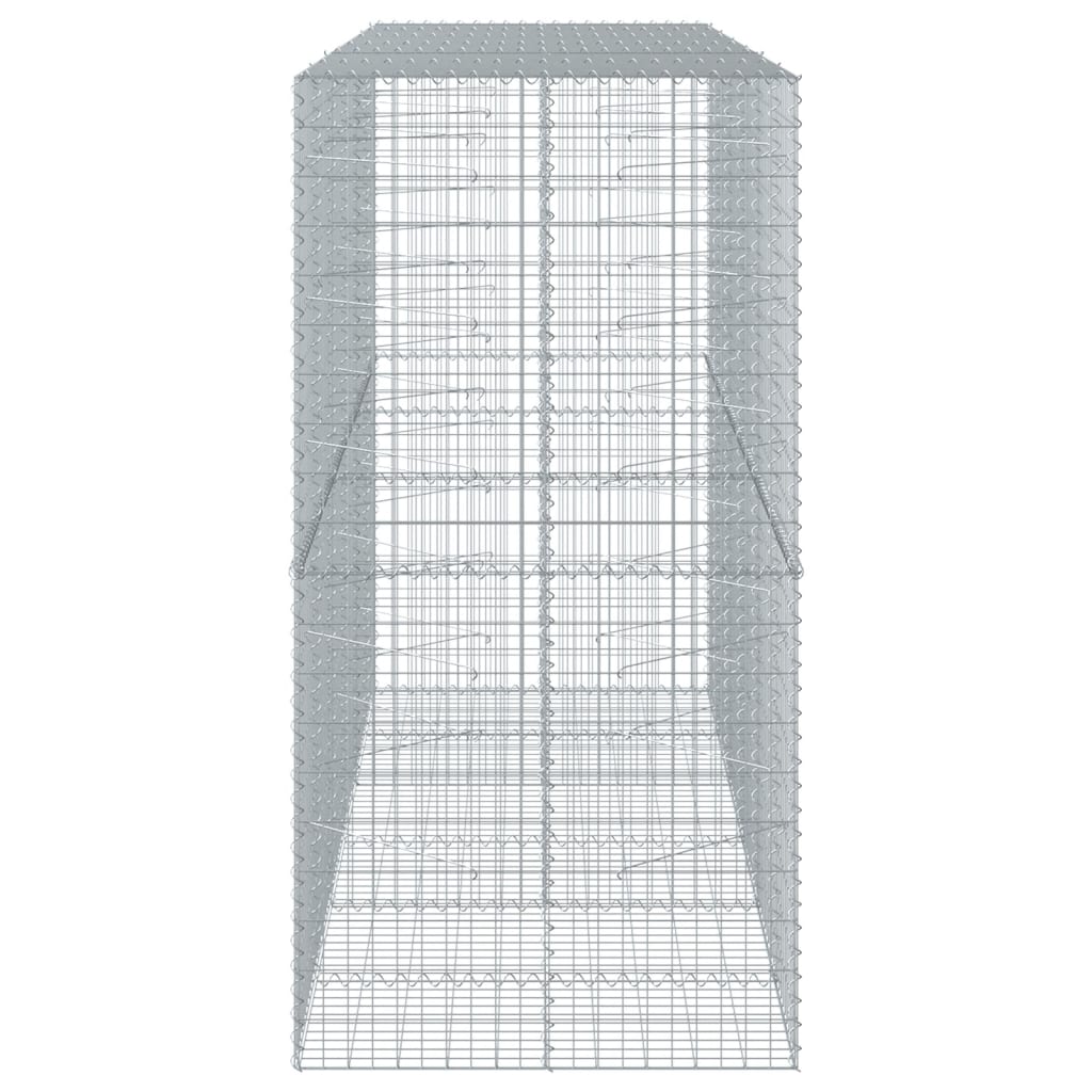 vidaXL Gabione mit Deckel 300x100x200 cm Verzinktes Eisen