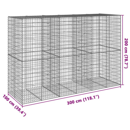 vidaXL Gabione mit Deckel 300x100x200 cm Verzinktes Eisen