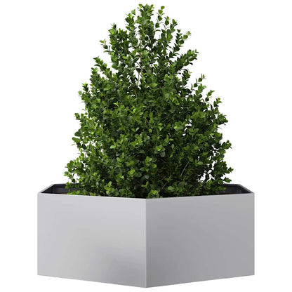 vidaXL Pflanzkübel Sechseckig 138x120x45 Verzinkter Stahl