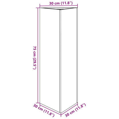 vidaXL Pflanzkübel 2 Stk. Schwarz Dreieckig 30x26x75 cm Stahl