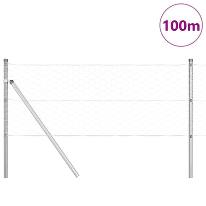 vidaXL Zaunpfosten Silber 100 x 0,6 m (50 mm Masche) Stahl