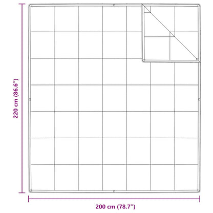 vidaXL 2-in-1 Bettdecke Weiß 200 x 220 cm Feder