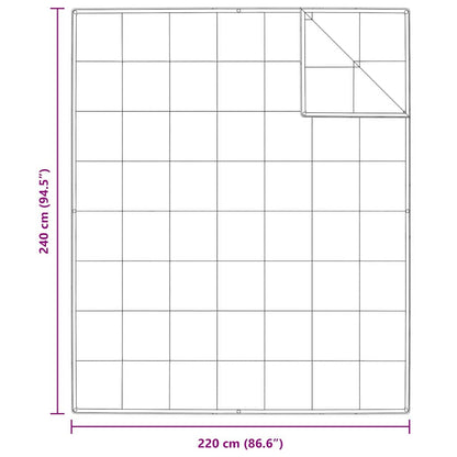 2-in-1 Bettdecke Weiß 240 x 220 cm Feder