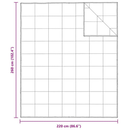 vidaXL 2-in-1 Bettdecke Weiß 260 x 220 cm Feder