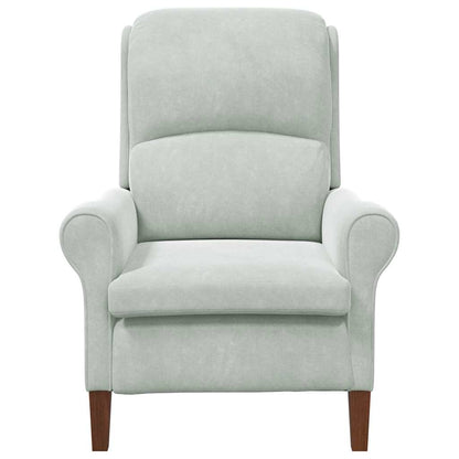 vidaXL Sessel Hellgrau 76 x 94 x 102 cm Samt