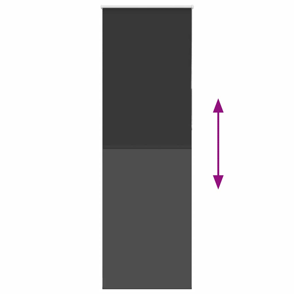 vidaXL Verdunkelungsrollo Schwarz 70x210 cm Stoffbreite 65,7 cm