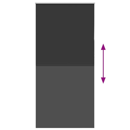 vidaXL Verdunkelungsrollo Schwarz 100x210 cm Stoffbreite 95,7 cm