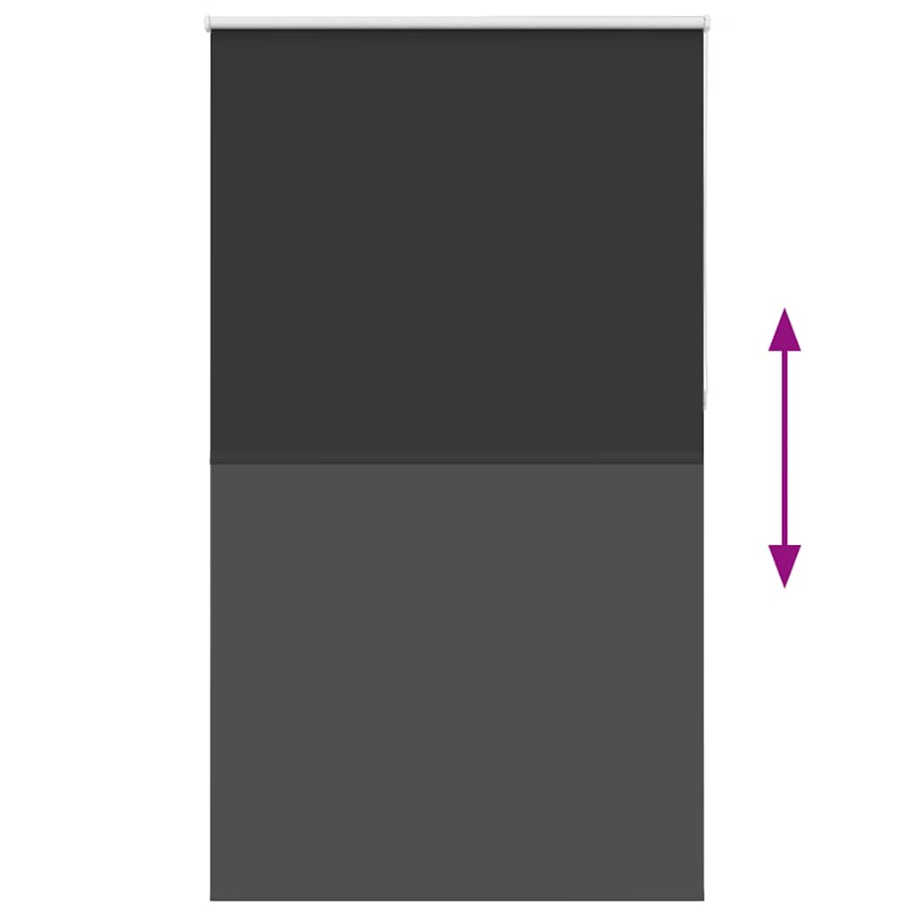 vidaXL Verdunkelungsrollo Schwarz 125x210 cm Stoffbreite 121,6 cm