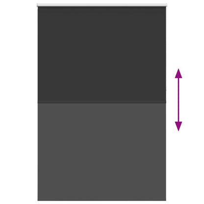 vidaXL Verdunkelungsrollo Schwarz 150x210 cm Stoffbreite 146,6 cm