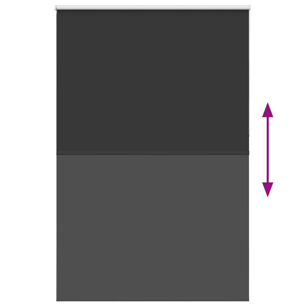 vidaXL Verdunkelungsrollo Schwarz 165x210 cm Stoffbreite 161,6 cm