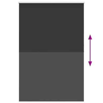 vidaXL Verdunkelungsrollo Schwarz 160x230 cm Stoffbreite 156,6 cm