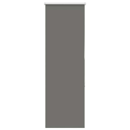 vidaXL Store occultant Gris 55x130 cm Largeur du tissu 50,7 cm Polyester