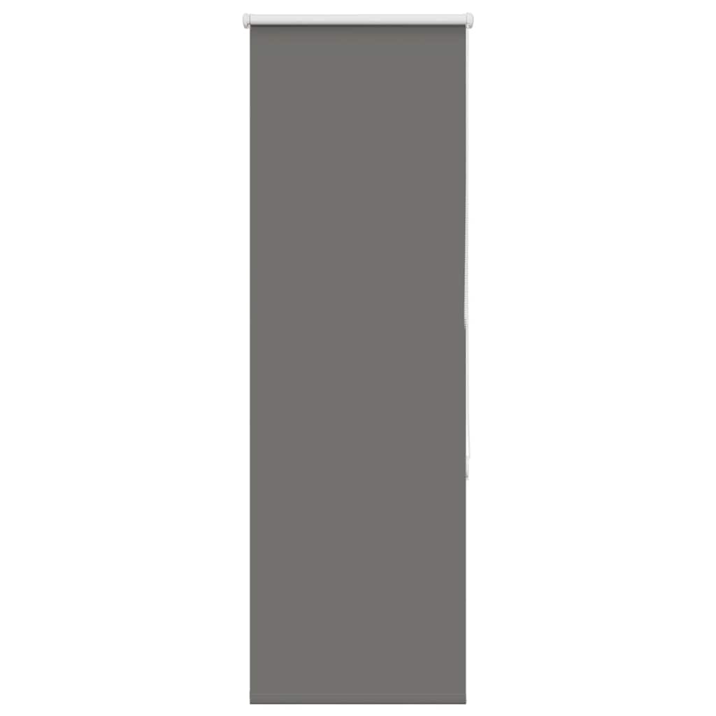 vidaXL Verdunkelungsrollo Grau 55x150 cm Stoffbreite 50,7 cm Polyester