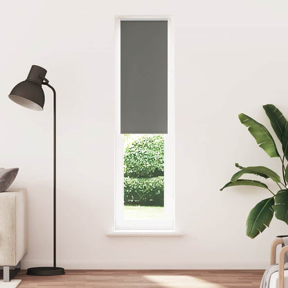 vidaXL Verdunkelungsrollo Grau 55x210 cm Stoffbreite 50,7 cm Polyester