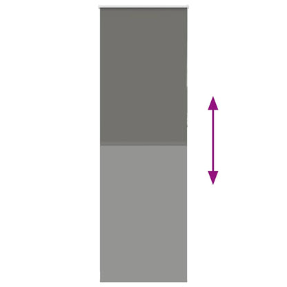 vidaXL Verdunkelungsrollo Grau 65x210 cm Stoffbreite 60,7 cm Polyester