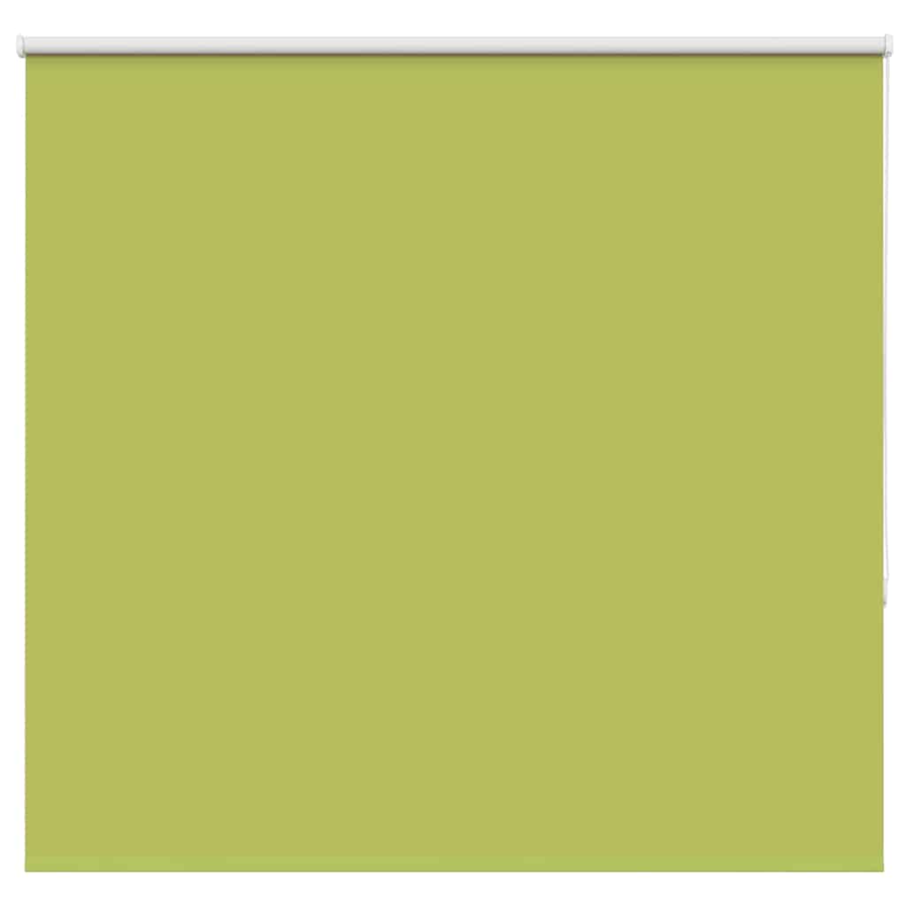 vidaXL Verdunkelungsrollo Grün 150x150cm Stoffbreite 146,6cm Polyester