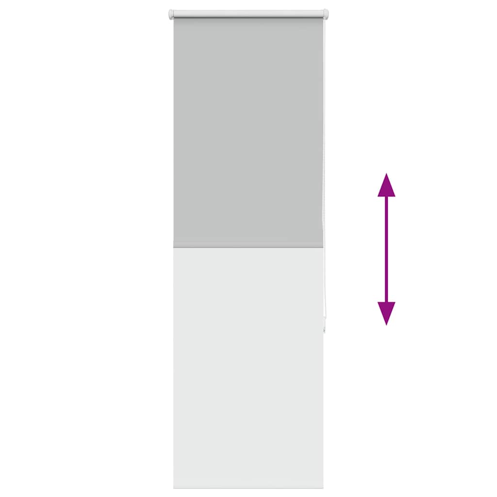 vidaXL Verdunkelungsrollo Hellgrau 55x130 cm Stoffbreite 50,7 cm
