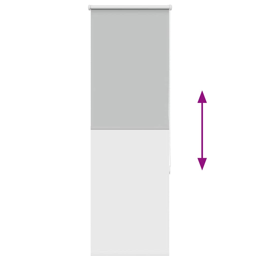 vidaXL Verdunkelungsrollo Hellgrau 60x130 cm Stoffbreite 55,7 cm