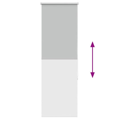 vidaXL Verdunkelungsrollo Hellgrau 60x130 cm Stoffbreite 55,7 cm
