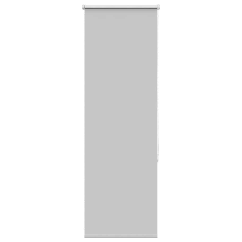 vidaXL Verdunkelungsrollo Hellgrau 45x150 cm Stoffbreite 40,7 cm