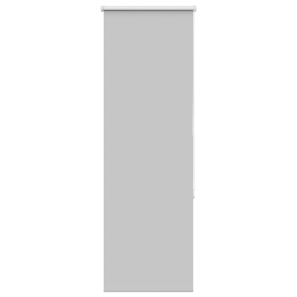 vidaXL Verdunkelungsrollo Hellgrau 50x150 cm Stoffbreite 45,7 cm