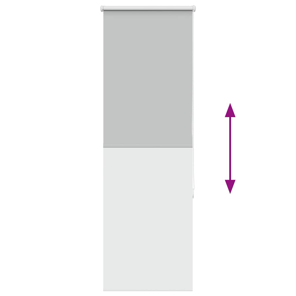 vidaXL Verdunkelungsrollo Hellgrau 50x150 cm Stoffbreite 45,7 cm