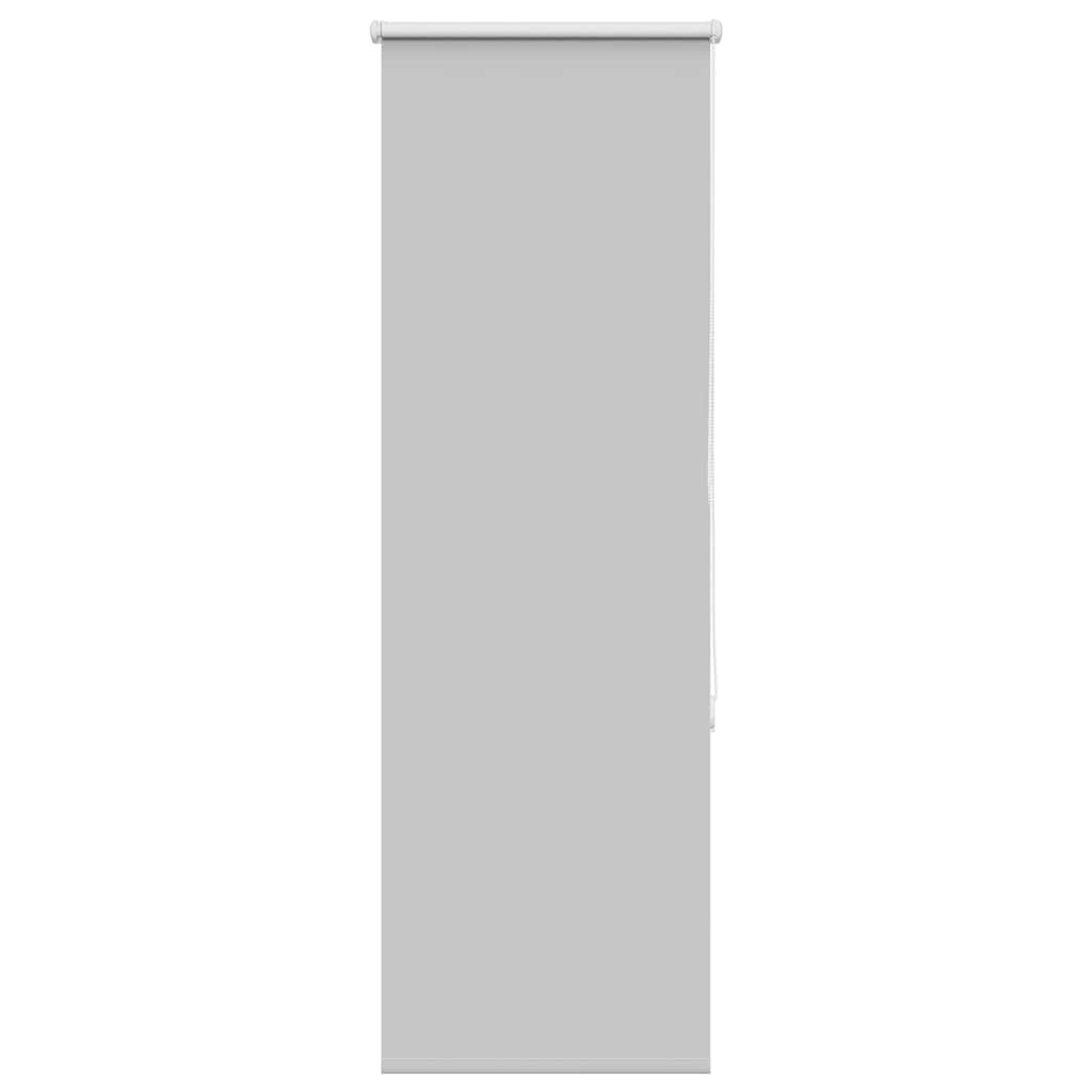 vidaXL Verdunkelungsrollo Hellgrau 60x150 cm Stoffbreite 55,7 cm