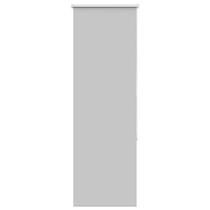 vidaXL Verdunkelungsrollo Hellgrau 60x150 cm Stoffbreite 55,7 cm