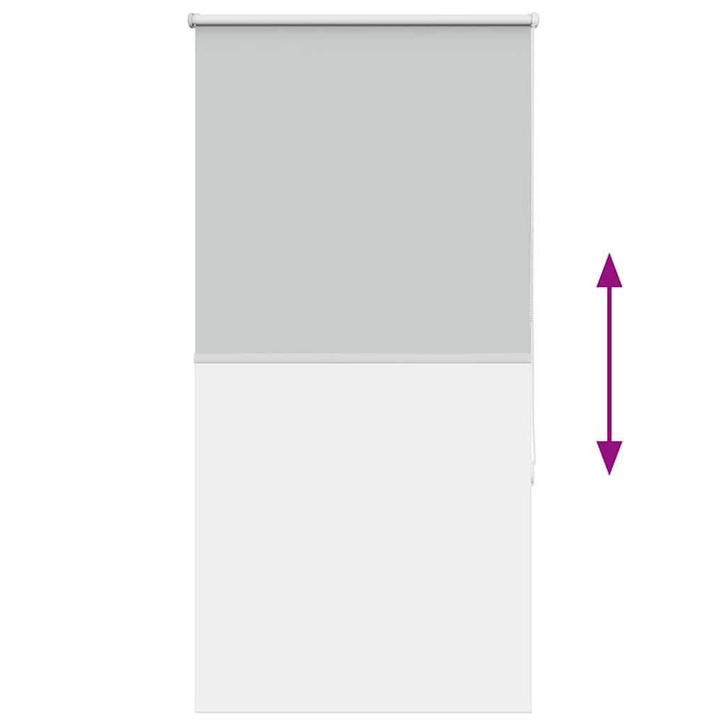 vidaXL Verdunkelungsrollo Hellgrau 65x150 cm Stoffbreite 60,7 cm