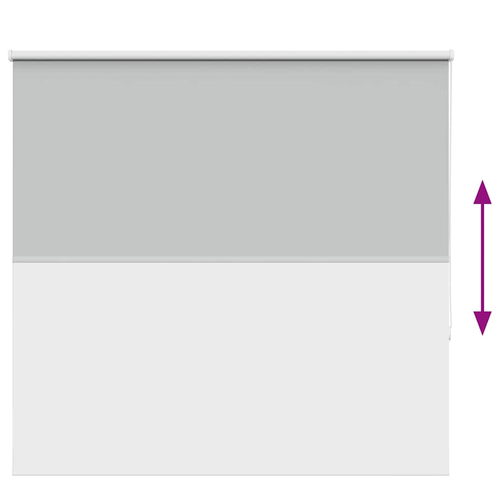 vidaXL Verdunkelungsrollo Hellgrau 160x150cm Stoffbreite 156,6cm