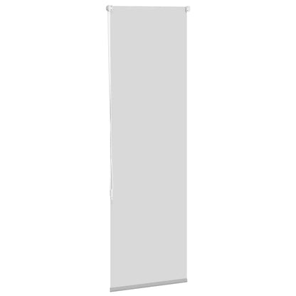 vidaXL Verdunkelungsrollo Hellgrau 40x175 cm Stoffbreite 35,7 cm