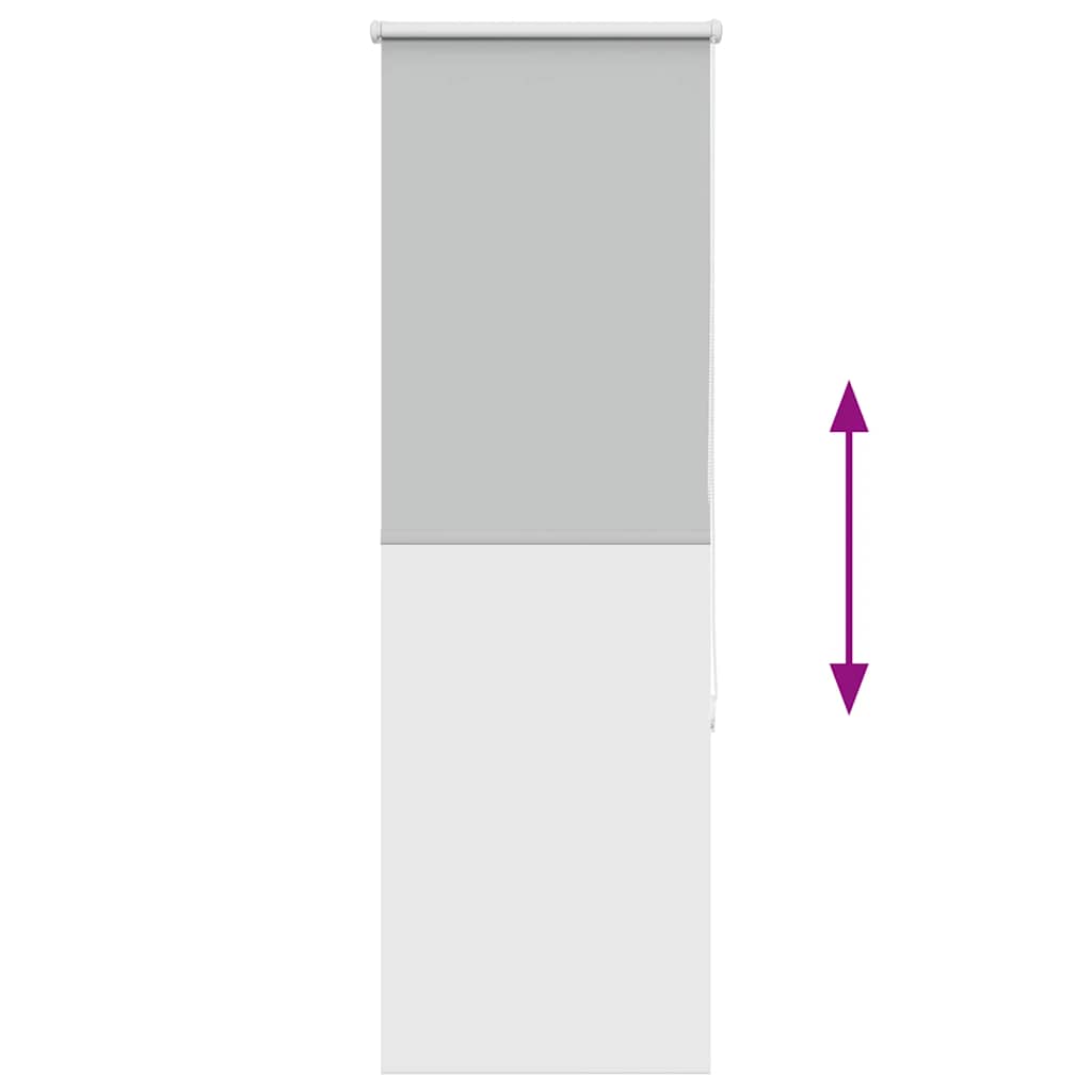 vidaXL Verdunkelungsrollo Hellgrau 40x175 cm Stoffbreite 35,7 cm