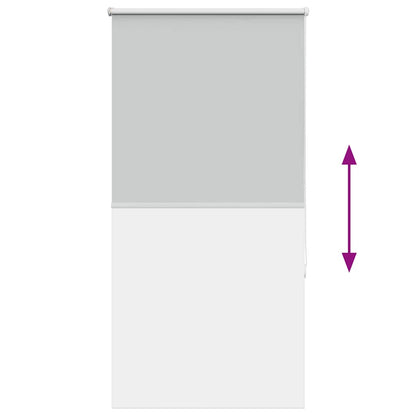 vidaXL Verdunkelungsrollo Hellgrau 85x175 cm Stoffbreite 80,7 cm