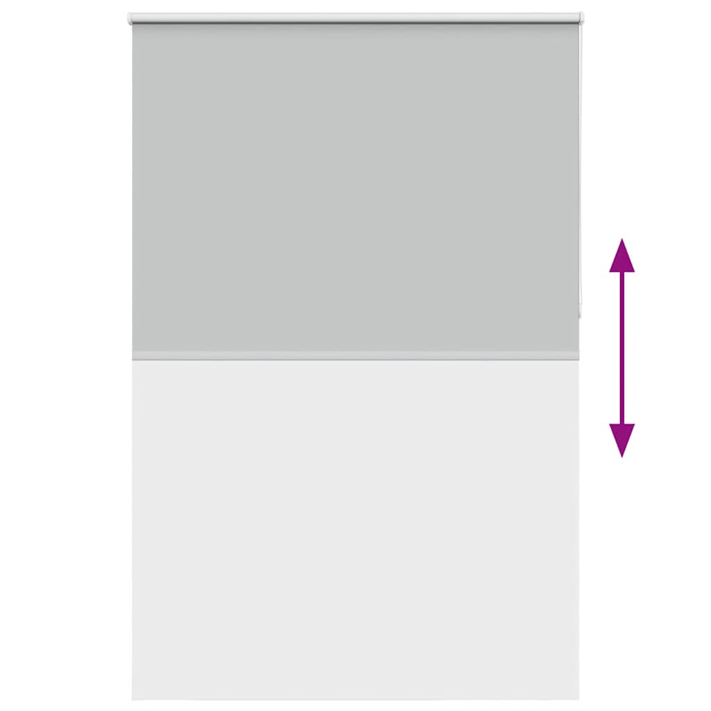 vidaXL Verdunkelungsrollo Hellgrau 160x210cm Stoffbreite 156,6cm