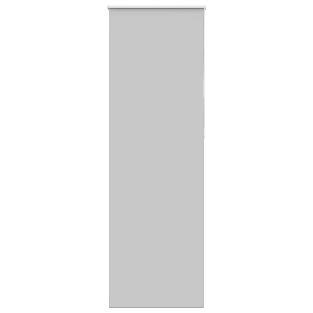 vidaXL Verdunkelungsrollo Hellgrau 65x230 cm Stoffbreite 60,7 cm