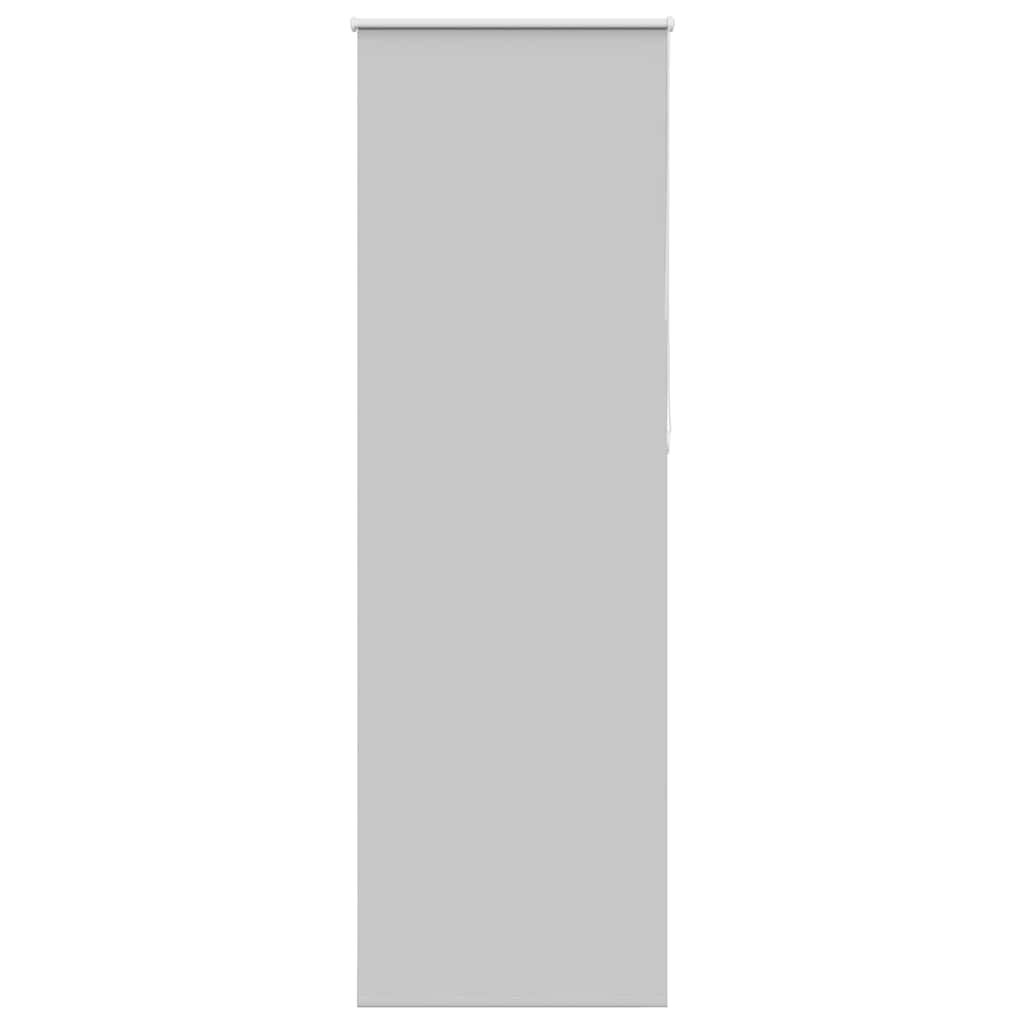 vidaXL Verdunkelungsrollo Hellgrau 75x230 cm Stoffbreite 70,7 cm