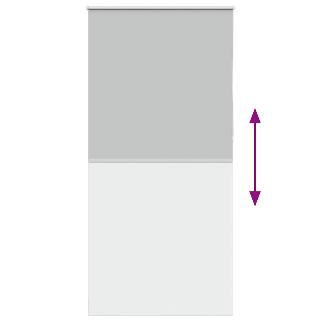 vidaXL Verdunkelungsrollo Hellgrau 100x230 cm Stoffbreite 95,7cm