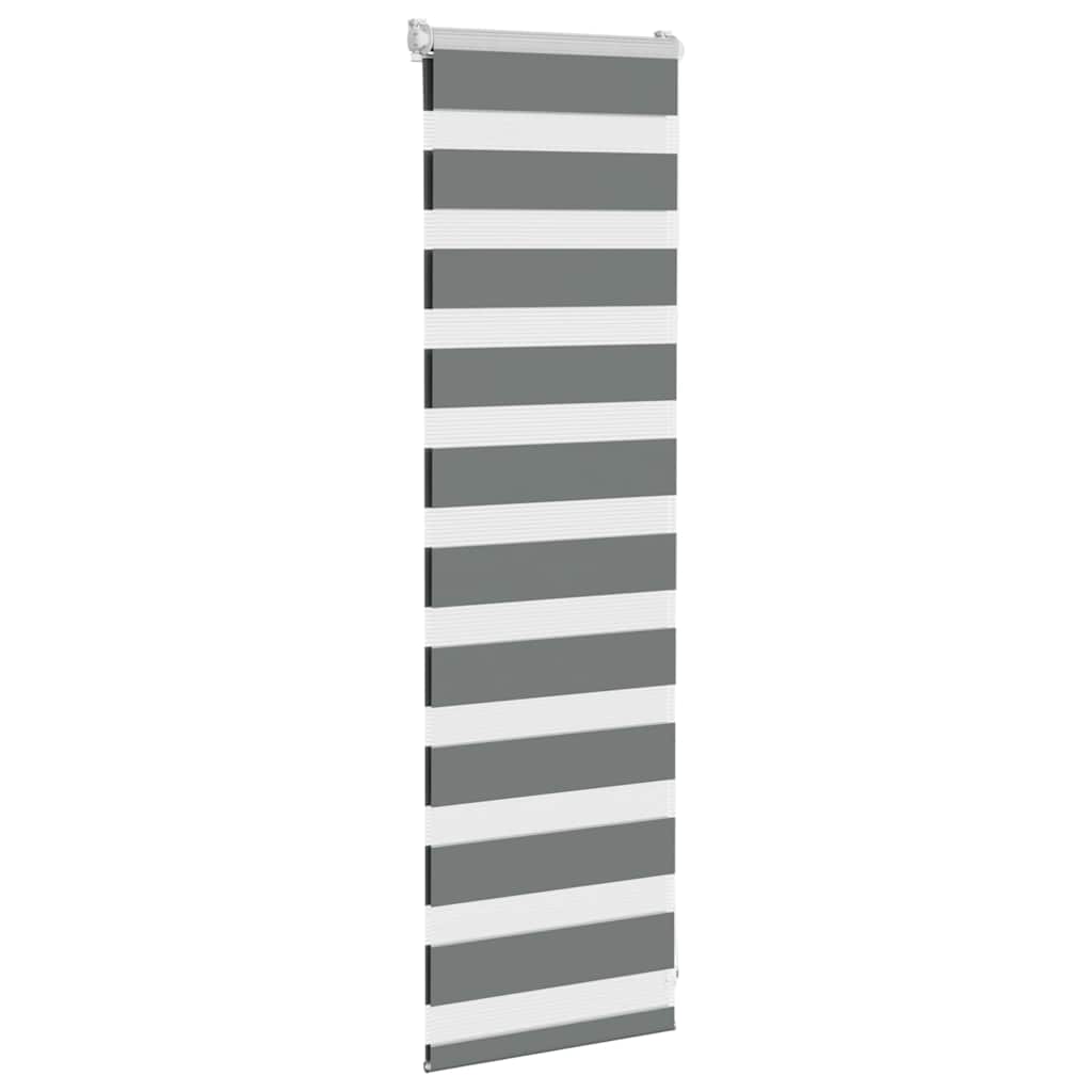 vidaXL Doppelrollo Dunkelgrau 45x100 cm Stoffbreite 40,9 cm Polyester