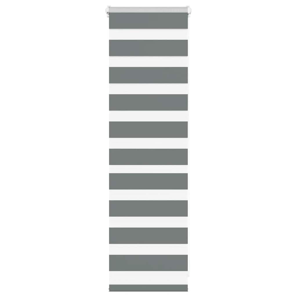 vidaXL Doppelrollo Dunkelgrau 50x100 cm Stoffbreite 45,9 cm Polyester