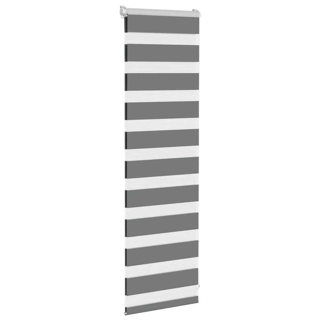 vidaXL Doppelrollo Dunkelgrau 50x100 cm Stoffbreite 45,9 cm Polyester