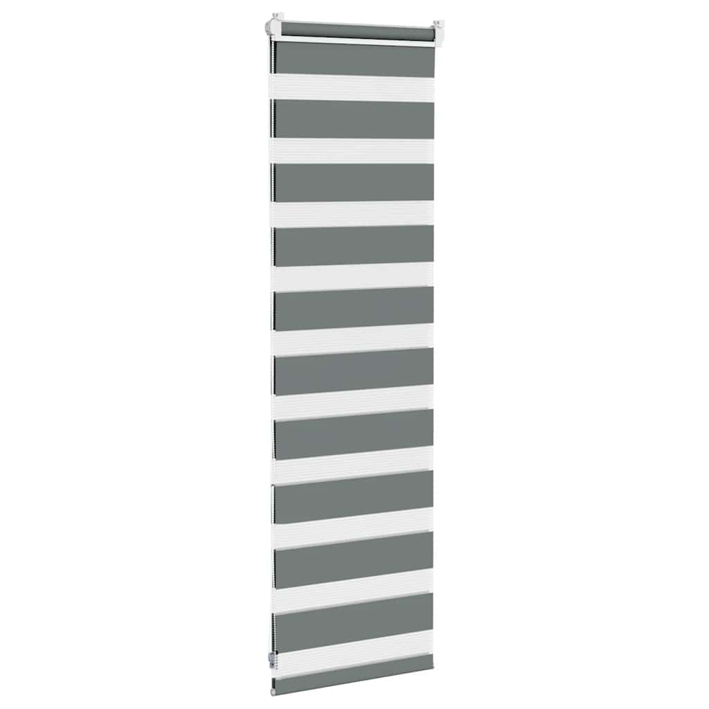 vidaXL Doppelrollo Dunkelgrau 50x100 cm Stoffbreite 45,9 cm Polyester