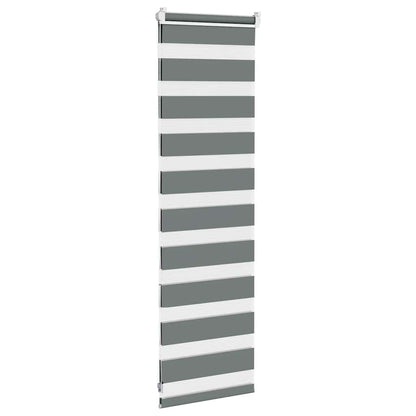 vidaXL Doppelrollo Dunkelgrau 50x100 cm Stoffbreite 45,9 cm Polyester