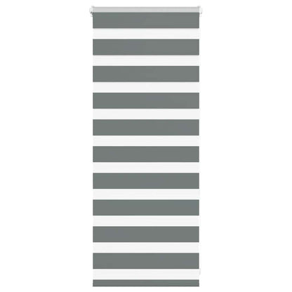 Doppelrollo Dunkelgrau 55x100 cm Stoffbreite 50,9 cm Polyester