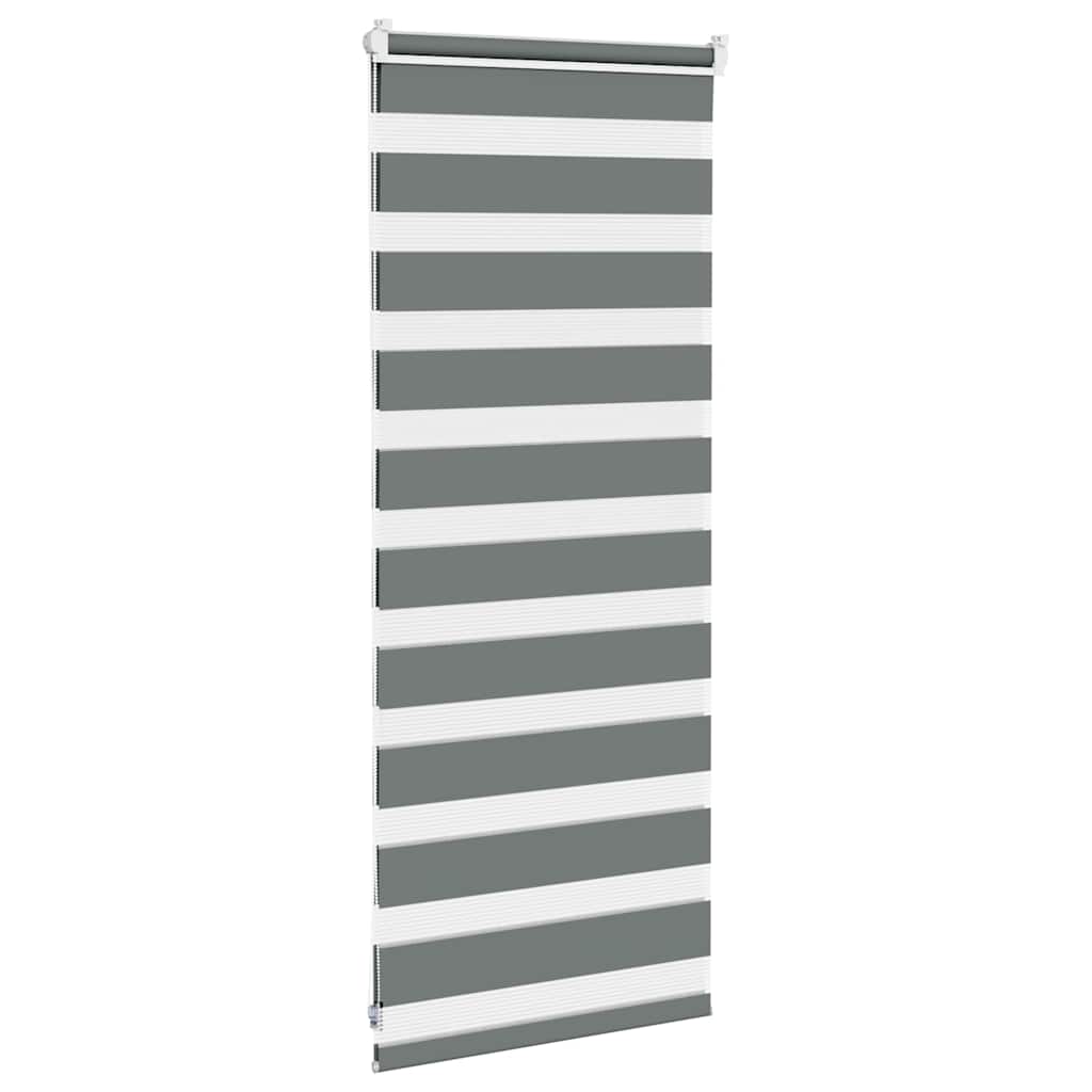 vidaXL Store enrouleur double gris foncé 55x100 cm Largeur du tissu 50,9 cm Polyester