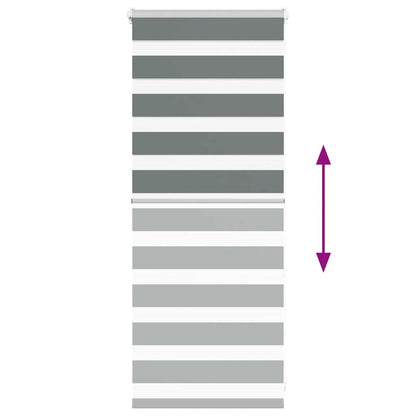 Doppelrollo Dunkelgrau 55x100 cm Stoffbreite 50,9 cm Polyester