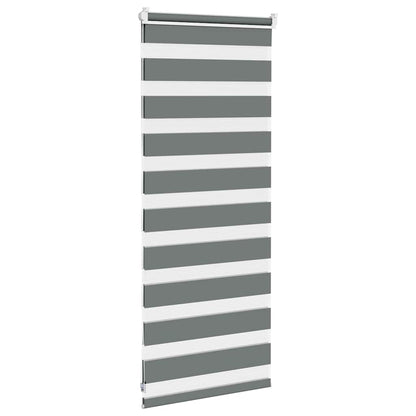 vidaXL Doppelrollo Dunkelgrau 60x100 cm Stoffbreite 55,9 cm Polyester