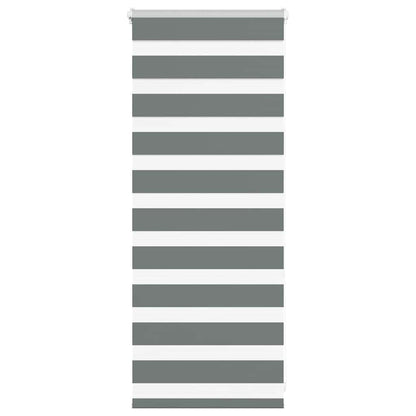 vidaXL Store Enrouleur Double Gris Foncé 65x100 cm Largeur du tissu 60,9 cm Polyester